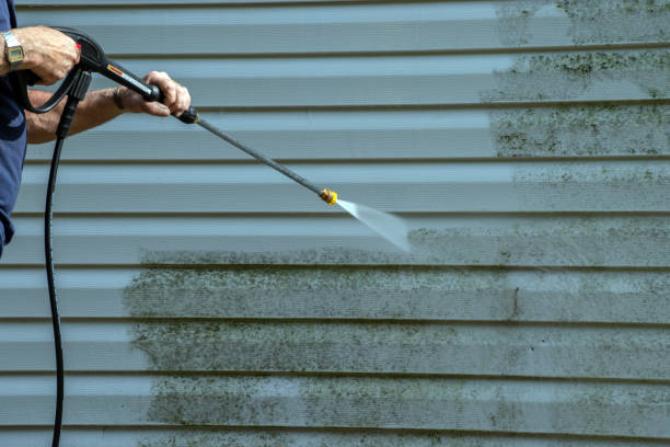 Best Driveway Cleaning and Restoration in Wayne, IL